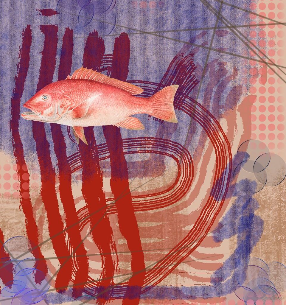 abstract fine art print red fish flowing lines minimal composition